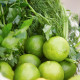 Sodexo frische